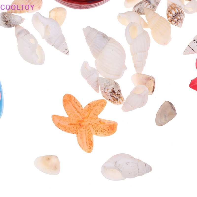 Cooltoy Bộ Vỏ Sò Trang Trí Nội Thất Cho Nhà Búp Bê Tỉ Lệ 1: 12