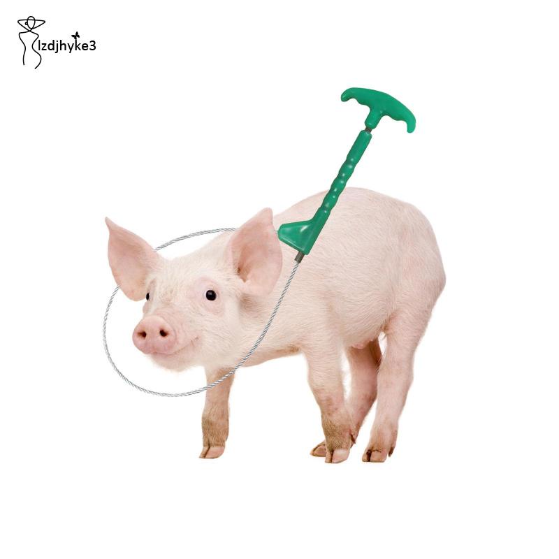 Giá Đỡ Cần Điều Khiển Heo / Chó / Lợn Nặng lzdjhyke3