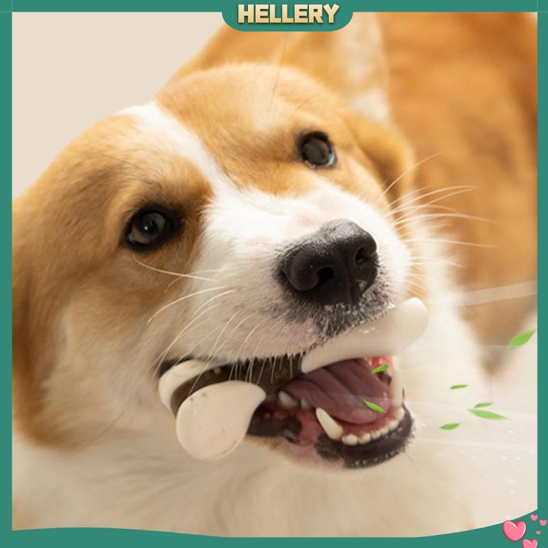 Đồ Chơi Gặm Nhấm Thư Giãn Chống Cắn Cho Thú Cưng Nhỏ