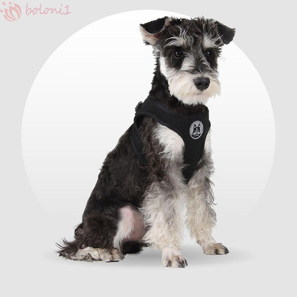 [COD] Bộ Dây Dắt Thú Cưng Đi Dạo Chống Thất Lạc Thoáng Khí Nhiều Màu Sắc Dễ Đ