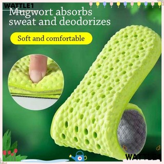 Set 2 Cặp Đế Lót Giày Thể Thao Thấm Hút Mồ Hôi Thoáng Khí