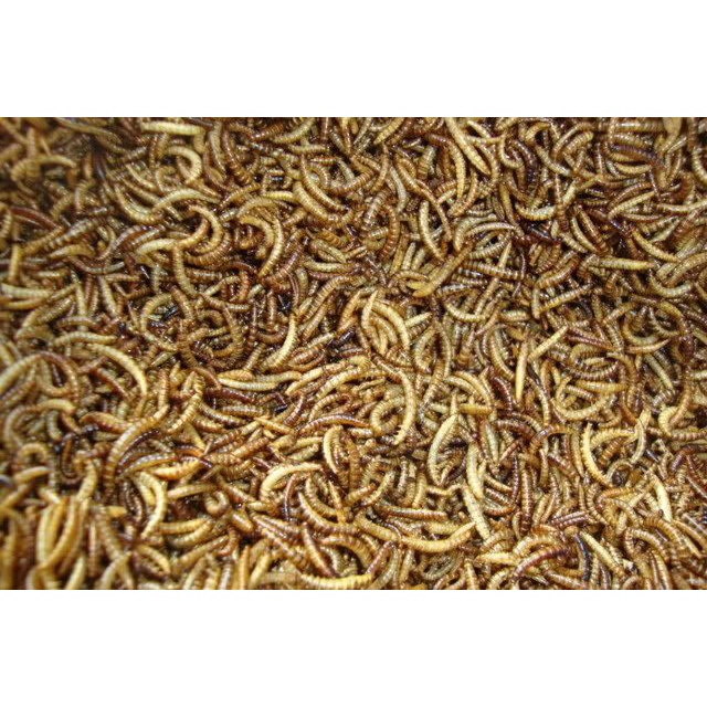 20g Sâu Khô Cho Chuột Hamster Sâu Gạo Khô Cho Gà Mỹ Con Sâu Khô Cho Chim Chích Chèo Sâu Khô Cho Nhím Sâu Quy Khô Cho Cá