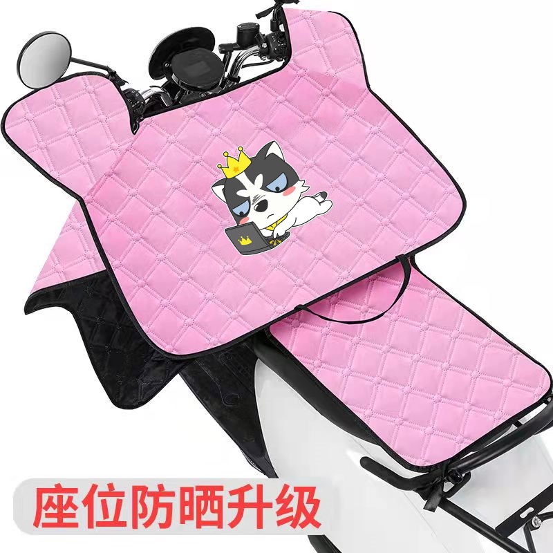 Chăn Che Nắng Chắn Gió Chống Thấm Nước Tiện Dụng Cho Người Đi Xe Máy