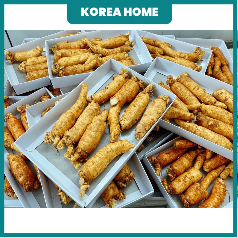 Sâm trọc ngâm mật ong, sâm gãy