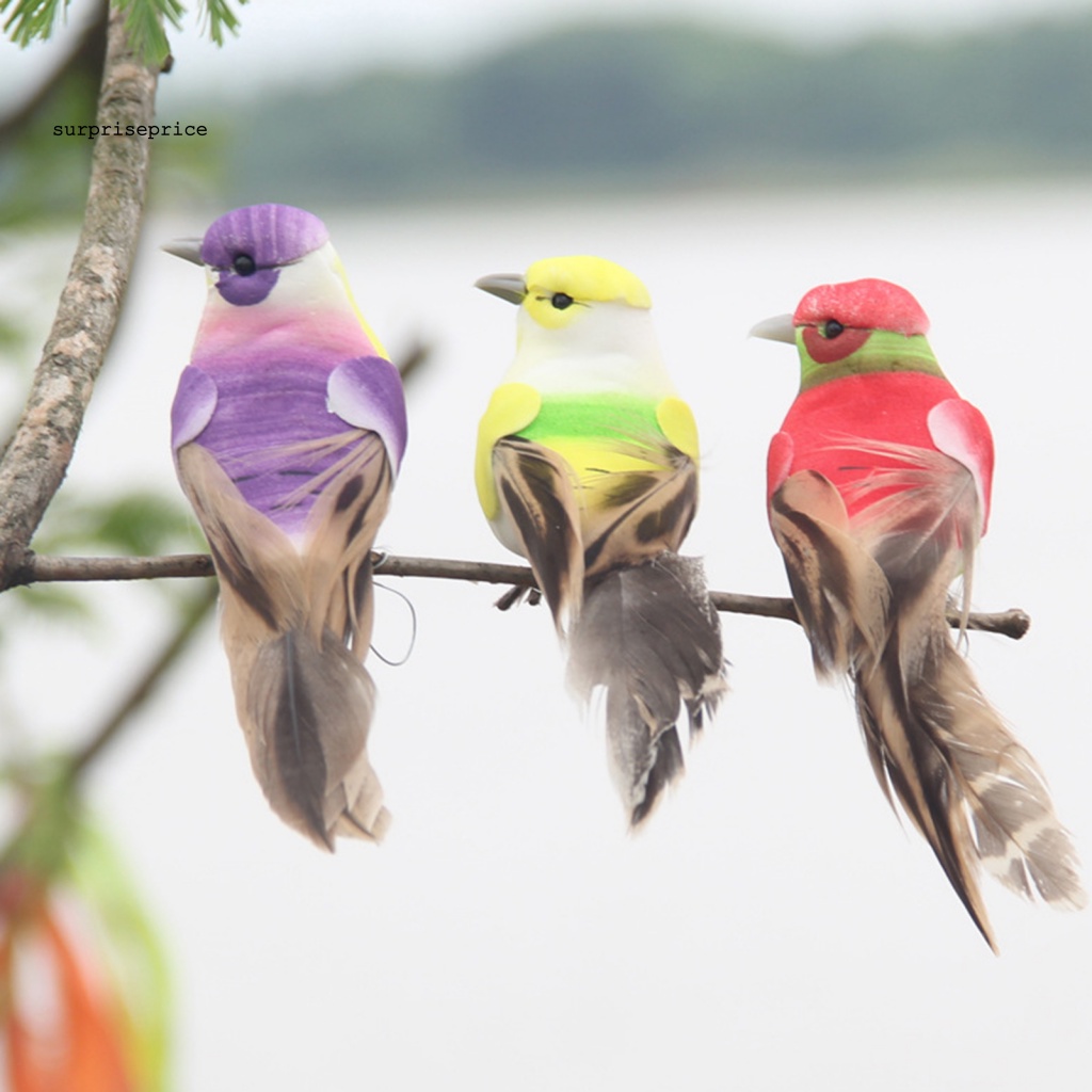 Spa Set 12 Chú Chim Nhân Tạo Bằng Xốp Màu Sắc Tươi Sáng Thu Hút Dành Cho Vườn Nhà