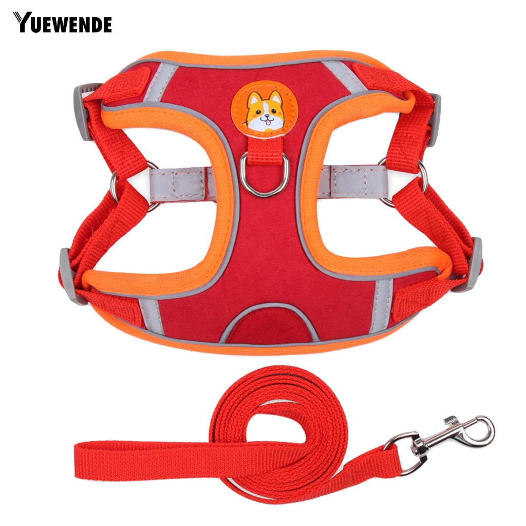 Set 2 Dây Dắt Thú Cưng Đi Dạo Thân Thiện Với Môi Trường Màu Sắc Tương Phản