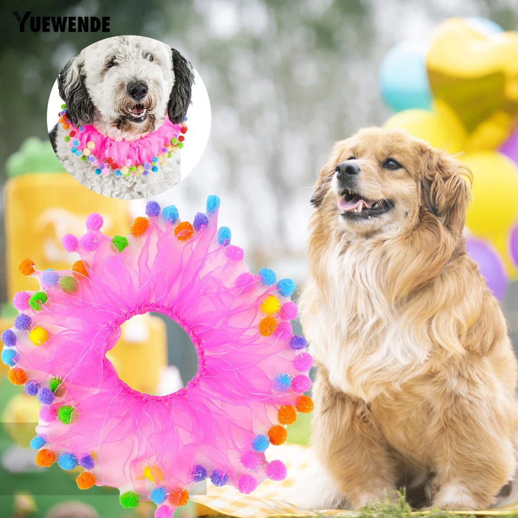 Vòng Đeo Cổ Co Giãn Chống Cắn Dành Cho Thú Cưng