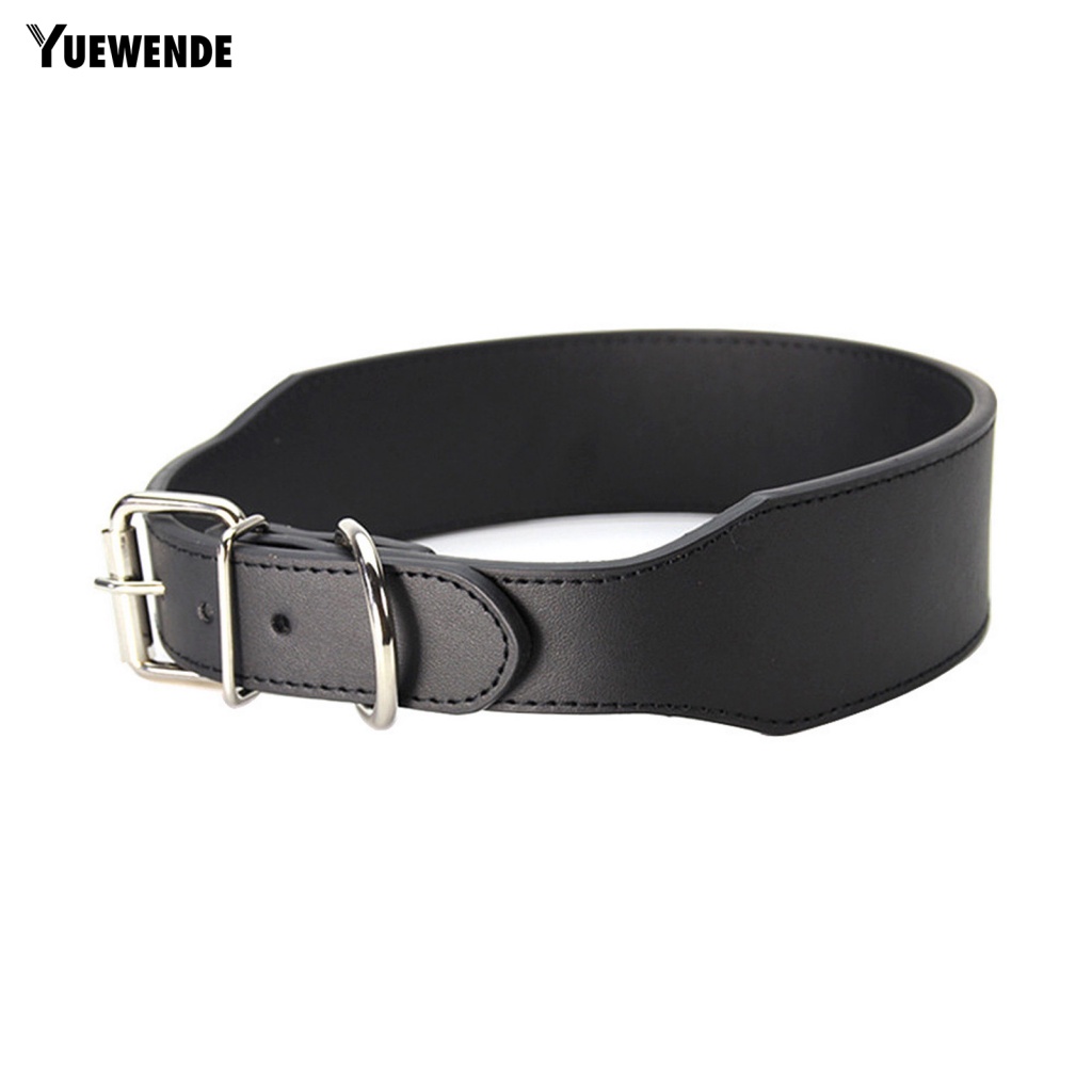 Vòng Cổ Năm Lỗ Cho Thú Cưng