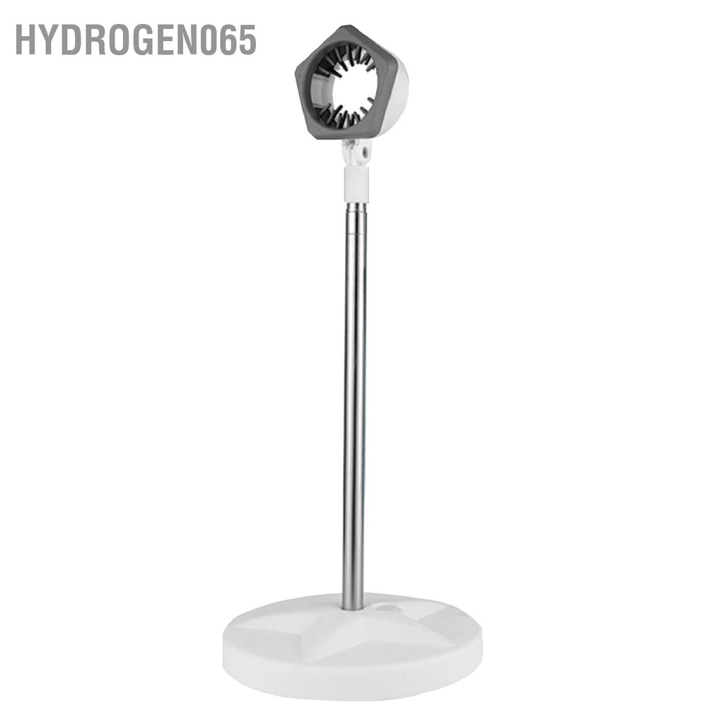 Hydrogen065 Máy Sấy Tóc Chân Đế Xoay Có Thể Điều Chỉnh Độ Cao Góc Miệng Răng Mềm Sàn Đứng Cho Phòng Tắm Gia Đình Salon