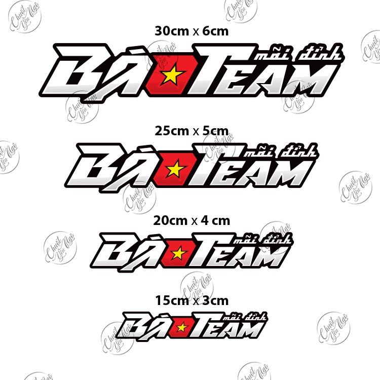 Combo 2 tem chế BÁO TEAM trang trí xe máy chất liệu chống thấm nước south vietnam scooter team svst