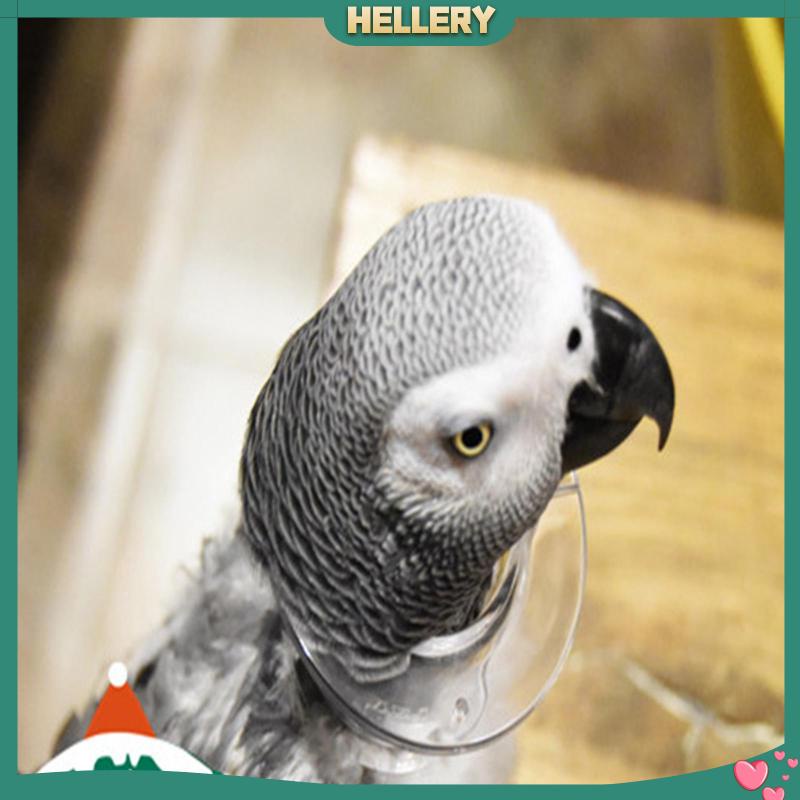 Vòng Cổ Chuỗi Hạt Bảo Vệ An Toàn Cho Chim Vẹt