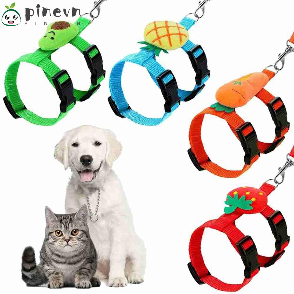 Dây Dắt Thú Cưng Đi Dạo Tiện Lợi