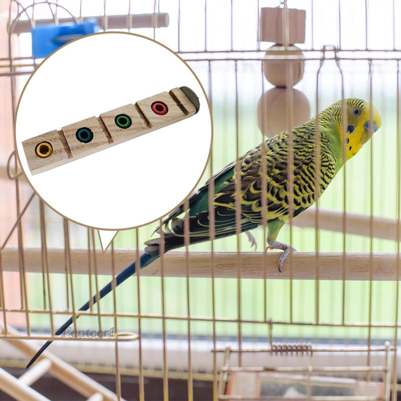 [Fenteer1] Giá Đỡ Đứng Cho Chim Vẹt Cỡ Nhỏ Và Vừa