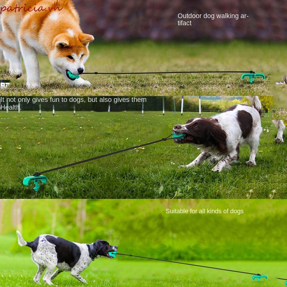 Đồ Chơi Nhai Gặm Dạng Quả Bóng Hút Chân Không Đa Năng Chăm Sóc Răng Miệng Cún Cưng