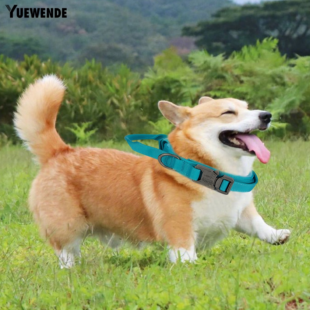 Vòng Cổ Nylon Thoáng Khí An Toàn Cho Thú Cưng YQ.E