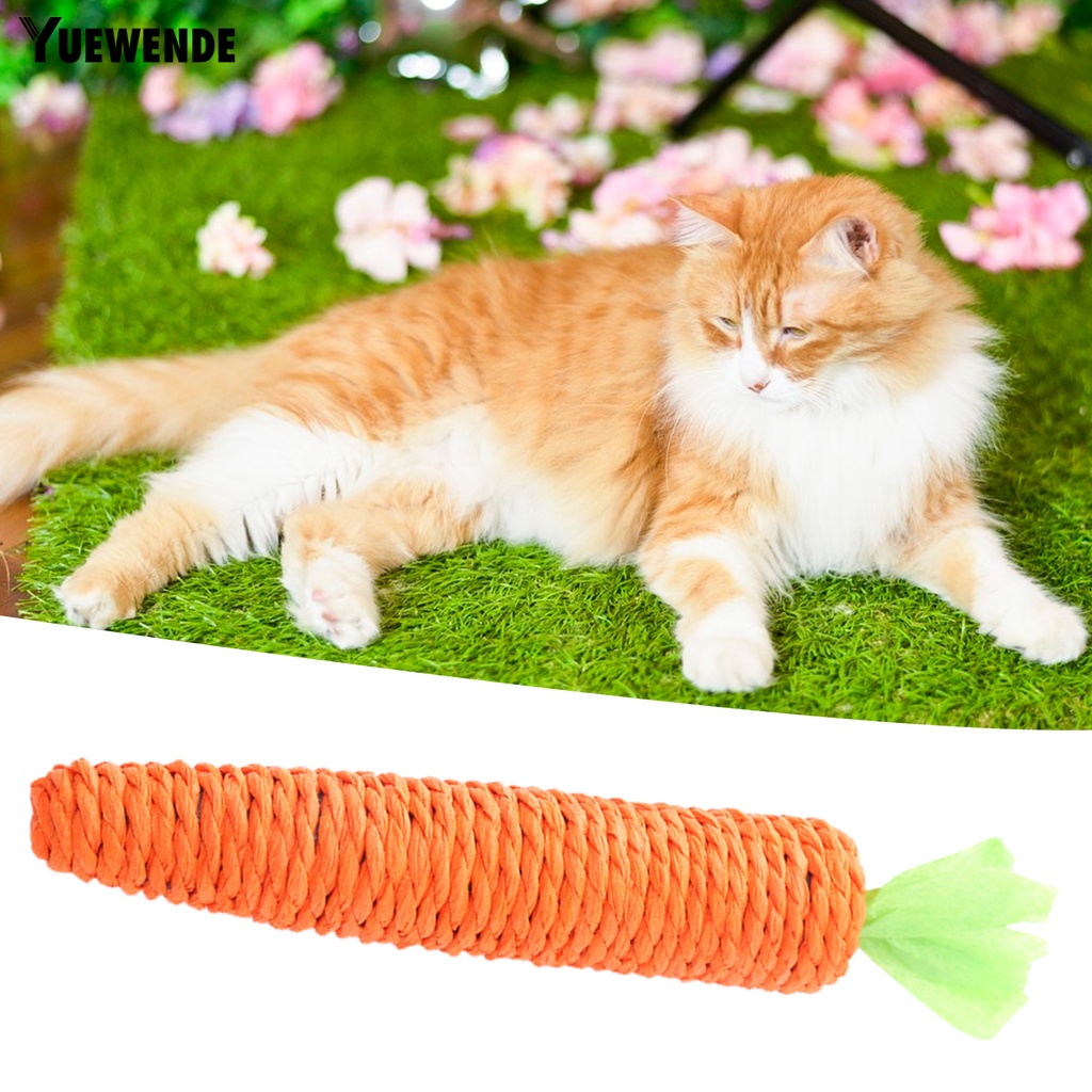 Đồ Chơi Nhai Gặm Hình Củ Cà Rốt Dễ Thương Cho Thú Cưng