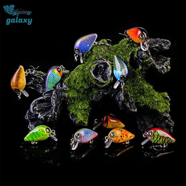 Galaxy Set 10 Mồi Giả Nhử Cá 28.5mm / 1.95g Bằng Nhựa Cứng