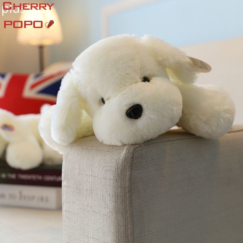 Thú Nhồi Bông Hình Chú Chó Husky Màu Trắng 25cm Dễ Thương Cho Bé Gái