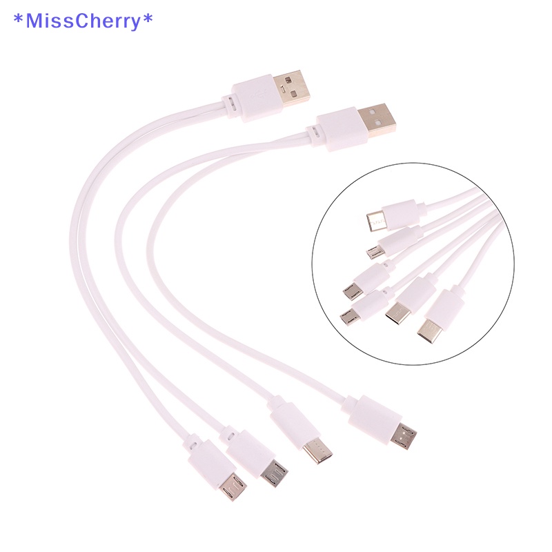 1 Dây Cáp Sạc Chuyển Đổi 2 Trong 1 Từ Đầu Cắm USB Sang Micro USB / Type-C Cho Điện Thoại Thông Minh / Máy Tính Bảng Android Mới