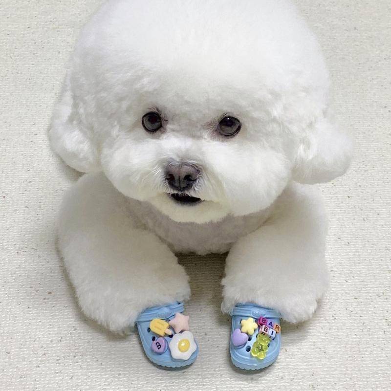 Dép Đi Trong Nhà Chống Trượt Thoáng Khí Dành Cho Thú Cưng