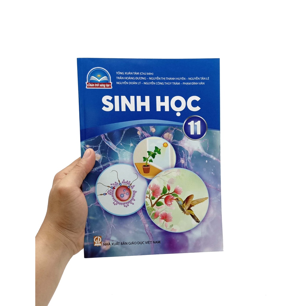 Sách Sinh Học 11 (Chân Trời Sáng Tạo) (2023) | BigBuy360 - bigbuy360.vn