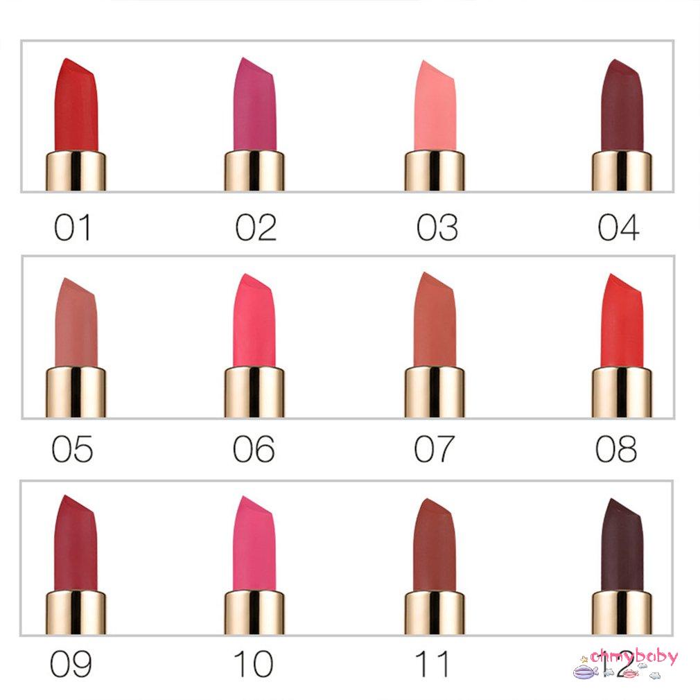Waterproof Long Lasting Matte Lipstick Lip Gloss Cream Lip Makeup Cosmetic
