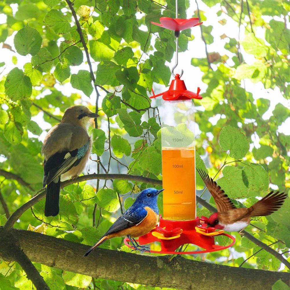 Dụng Cụ Cho Chim Ăn 1 Ngăn Trong Suốt Tiện Dụng