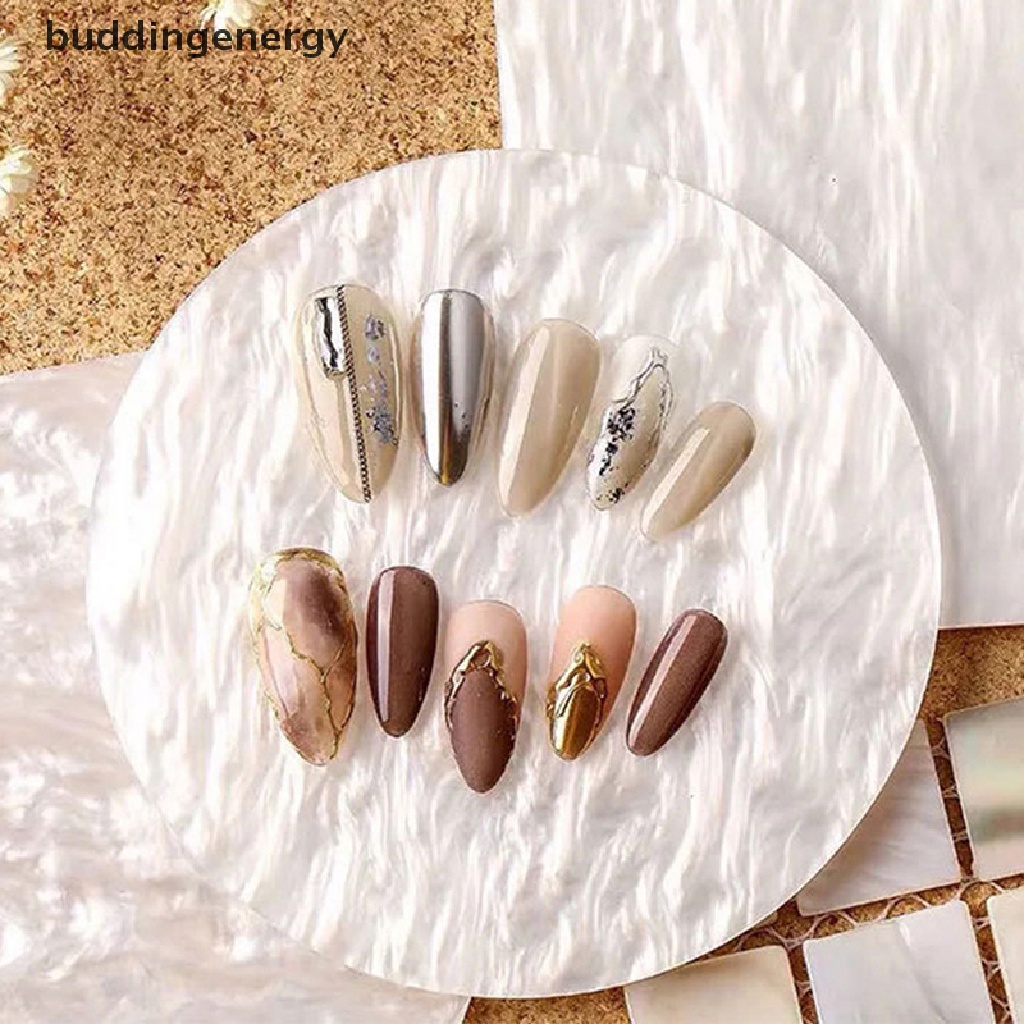 1 Vỏ Sò Trưng Bày Móng Tay Giả {BUDDI}