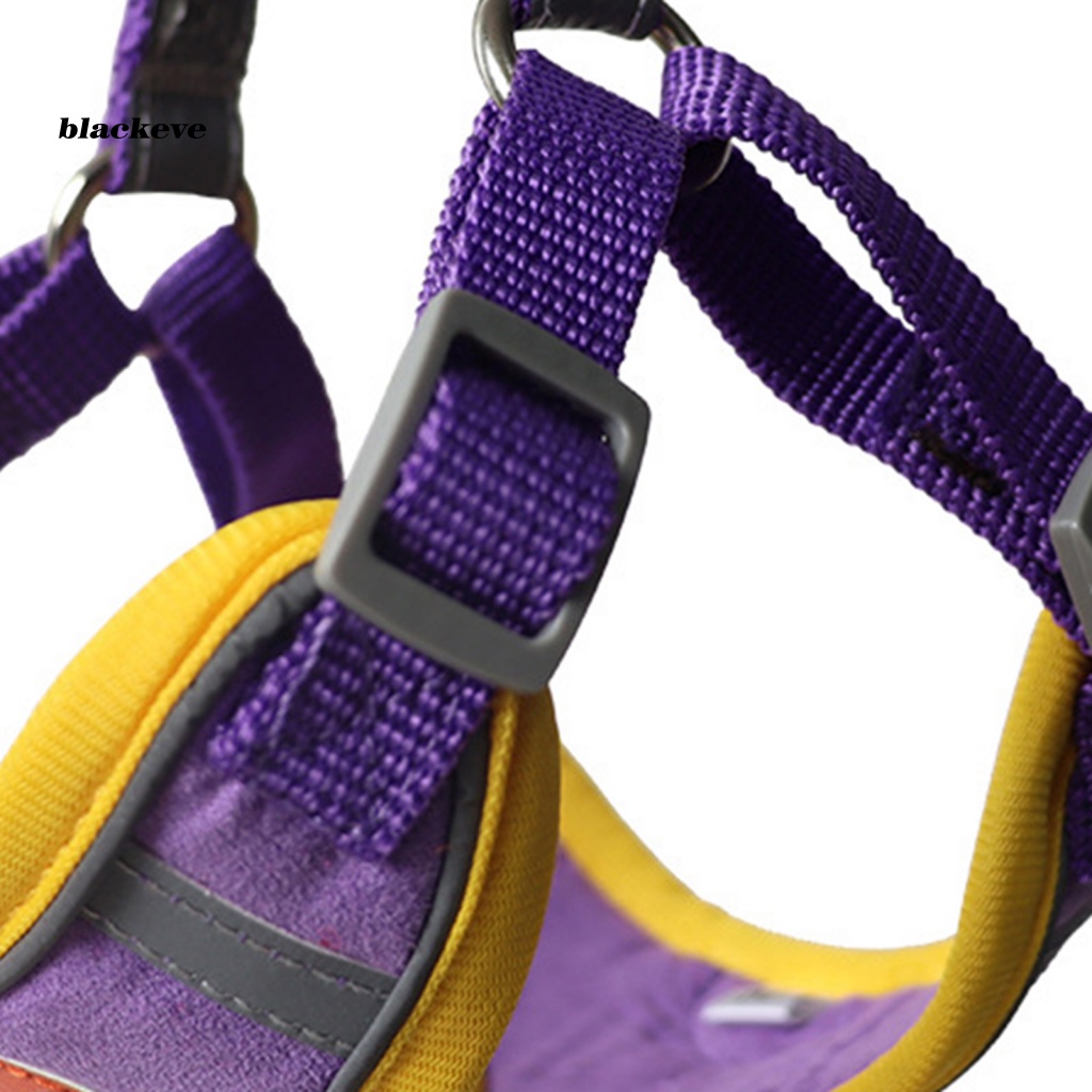 Set 2 Dây Đai Dắt Thú Cưng Đi Dạo Thoáng Khí Có Thể Điều Chỉnh