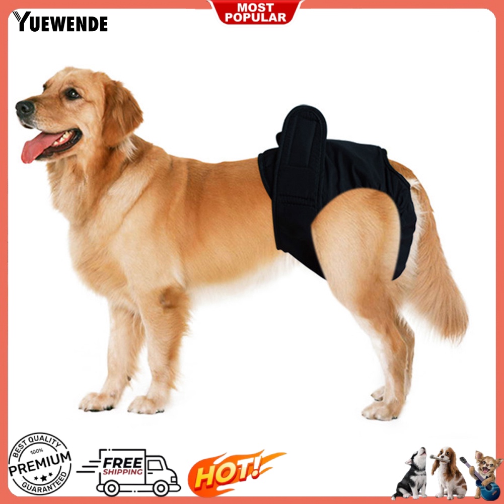 Tã Quần Sinh Lý In Họa Tiết Hoạt Hình Dễ Thương Giặt Được Tiện Dụng Cho Nữ