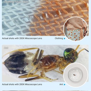 MS002CWH Microscope 200X Magnification Lens With CPL Mobile LED Magnifier