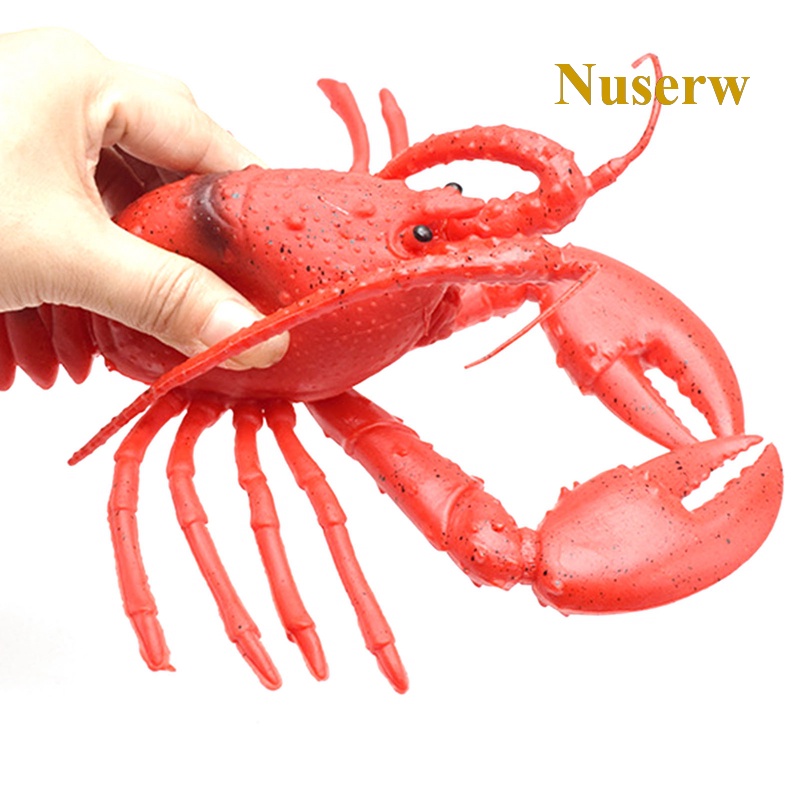 Nuserw Đồ Chơi Mô Hình Tôm Hùm Và Cua Mềm Mại Có Âm Thanh Và Kích Thích Khoa Học Và Giáo Dục Cho Bé
