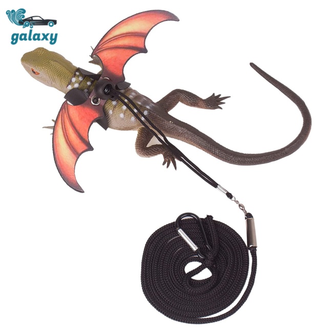 Galaxy Dây Dắt Thú Cưng Đi Dạo Bằng Da Có Thể Điều Chỉnh