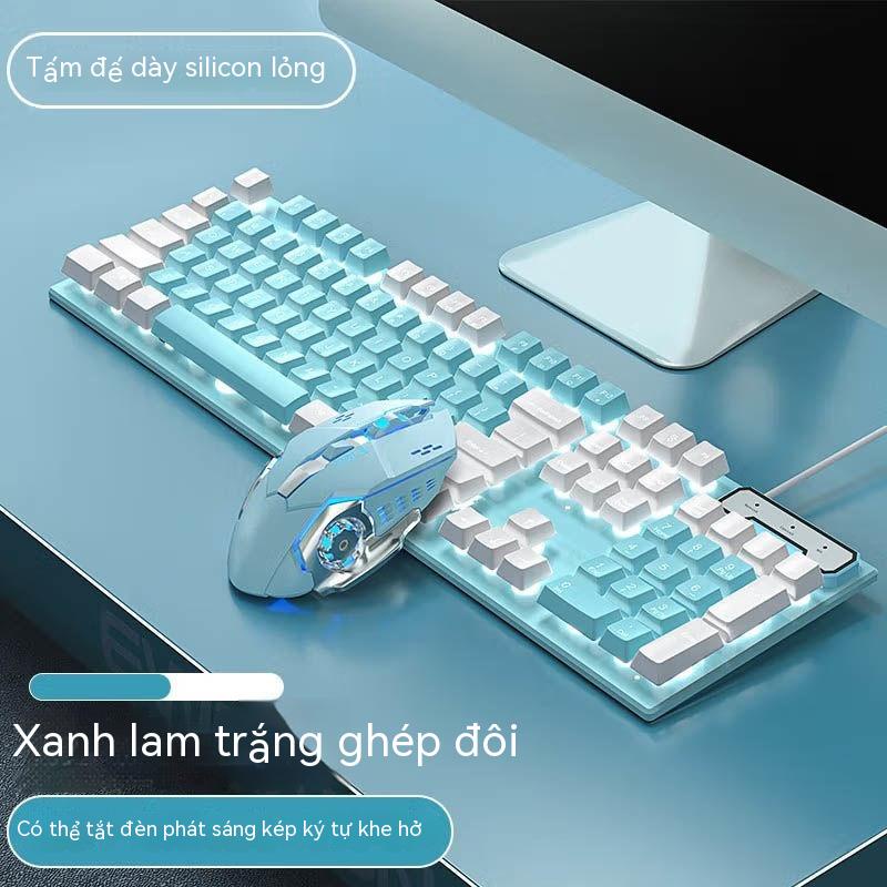 Bộ Bàn Phím Và Chuột Im Lặng Có Dây Màu Wrangler Dành Cho Nữ Máy Tính Xách Tay Máy Tính Chơi Game Văn Phòng Thông Dụng