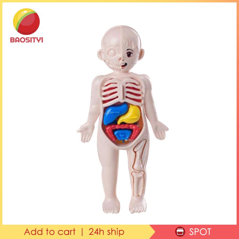 [Baosity 1] Bộ Đồ Chơi Dạy Học Cơ Thể Người Cho Trẻ Mẫu Giáo