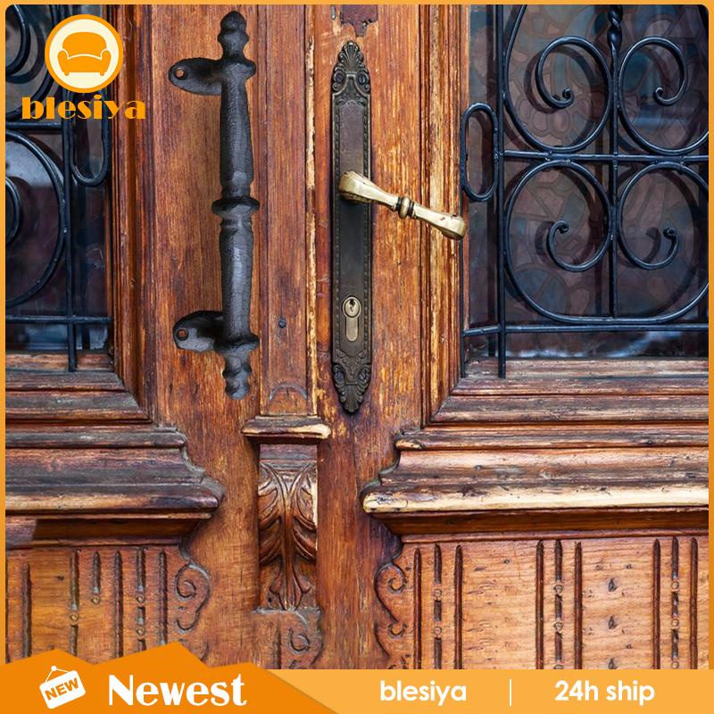 [Blesiya] Tay Nắm Cửa Trung Tâm Sáng Tạo Đơn Giản Sử Dụng Cho Tủ / Sân Vườn