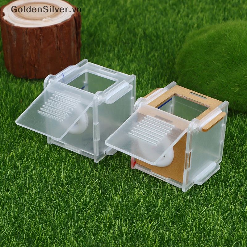 Ống Nghiệm Nuôi Kiến Bằng Acrylic Trong Suốt Mạ Vàng 15 / 18mm DIY