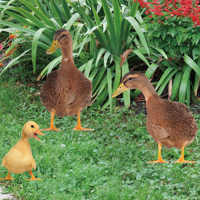 Bộ 3 Tượng Vịt Hai Mặt Bằng Acrylic Dùng Trang Trí Sân Vườn