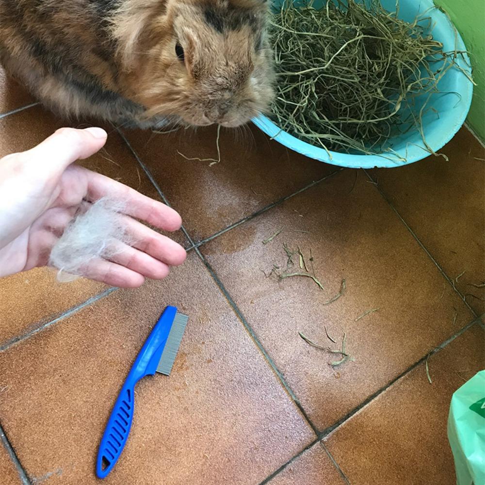 Bộ 4 Lược Chải Lông Cho Thú Cưng Bằng Kim Loại Bền Thiết Thực