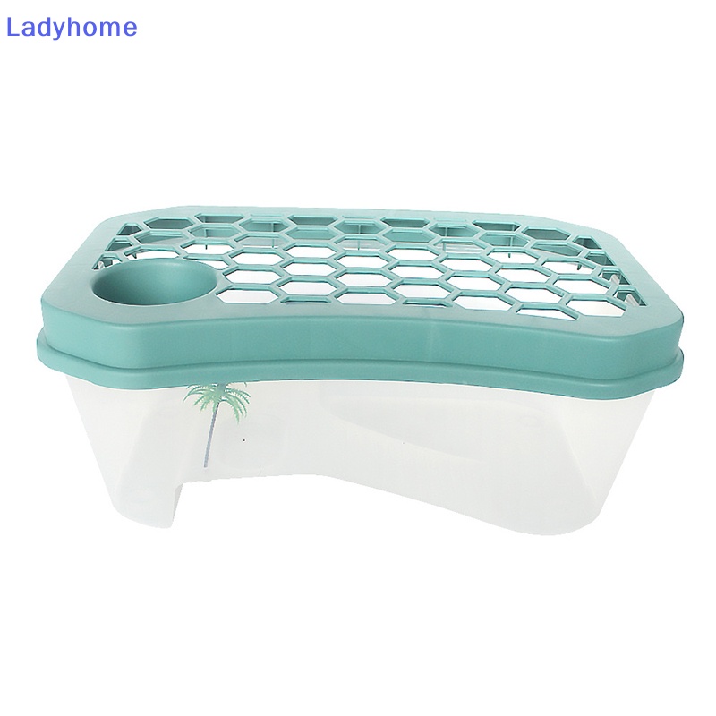 Hộp Nuôi Rùa / Rùa / Côn Trùng Tiện Dụng