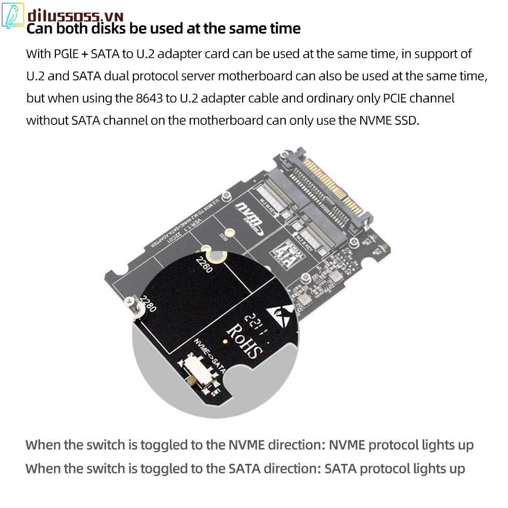 Card Chuyển Đổi 2 Trong 1 M.2 NVMe SATA U.2 40Gbps SFF8639 Cho 2230 / 2242 / 2260 / 2280 SSD