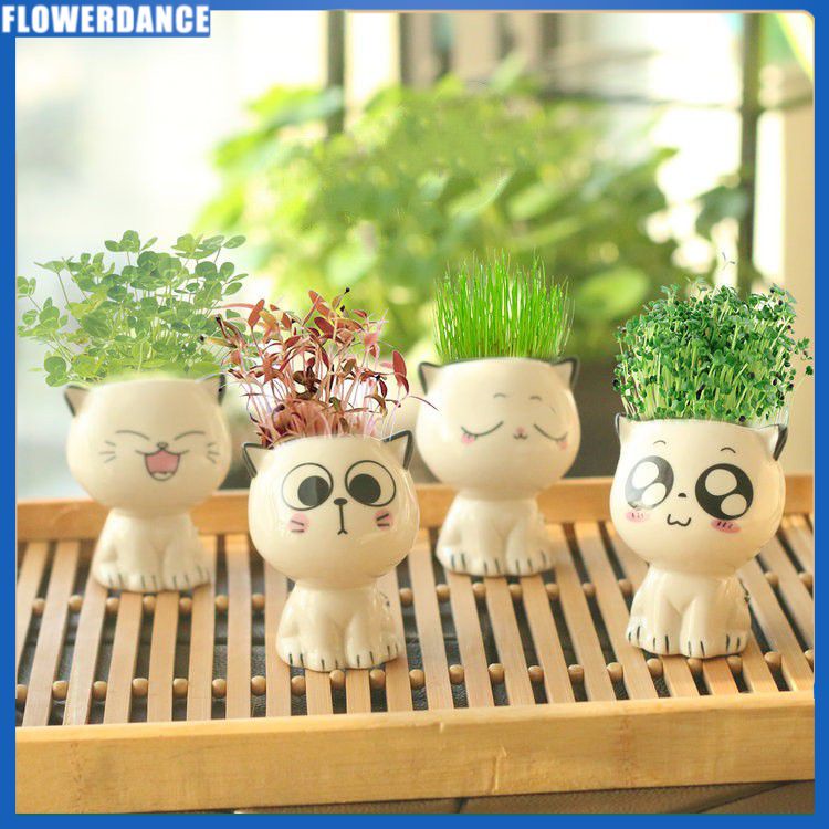 Sáng Tạo Chậu hoa mini máy tính để bàn chậu hoa phim hoạt hình mèo biểu hiện mọng nước Chậu gốm trang trí nhà bức tượng bán thân bình văn phòng có lỗ thoát nước hoa