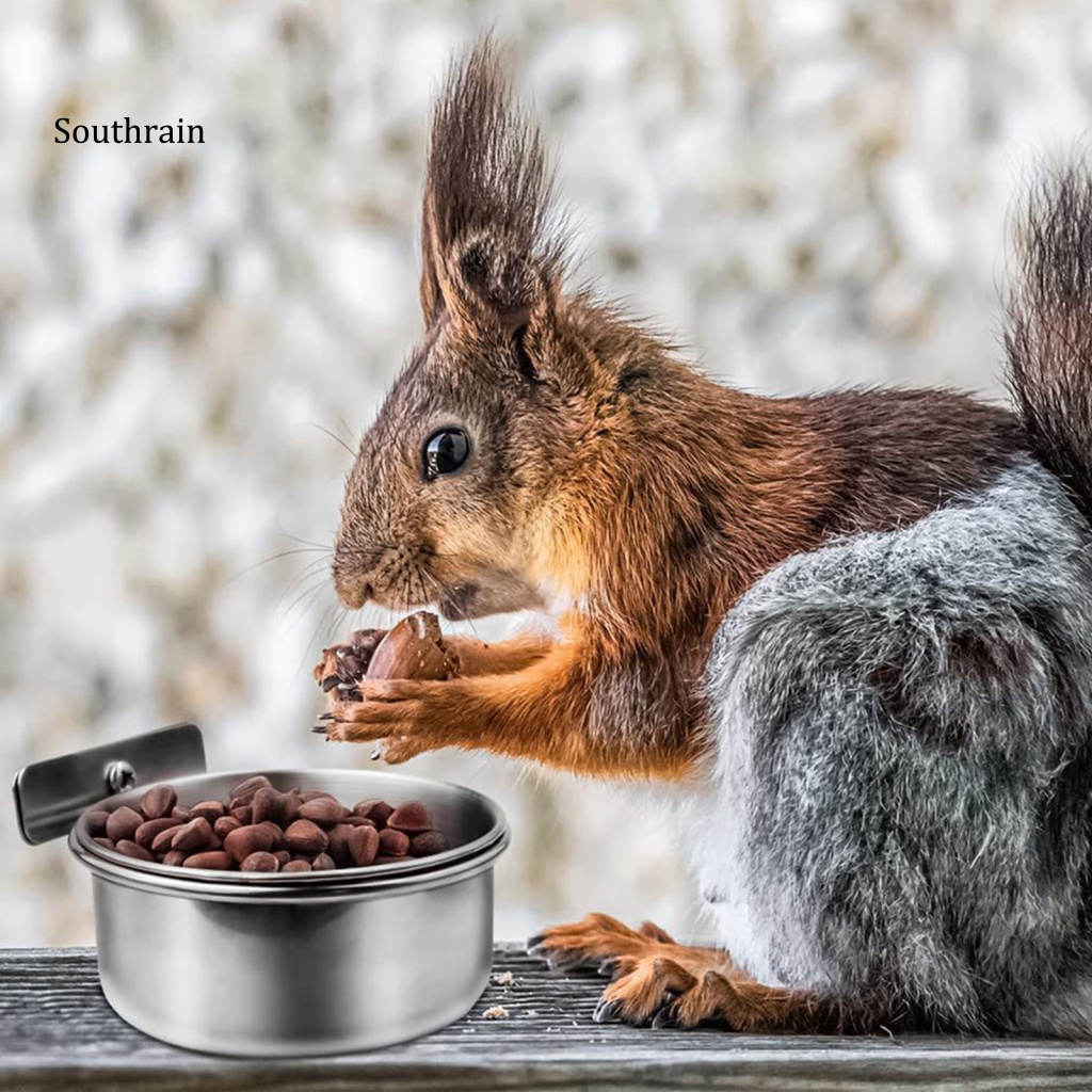 Bát Đựng Thức Ăn Sức Chứa Lớn Bằng Thép Không Gỉ Cho Chim Cảnh