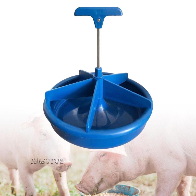 [Kesoto2] Khay Đựng Thức Ăn Cho Thú Cưng