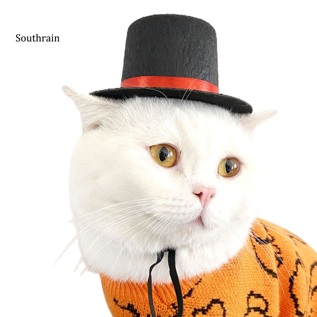 Mũ Đội Bằng Vải Không Dệt Phong Cách Ảo Thuật Gia Dành Cho Mèo Cưng