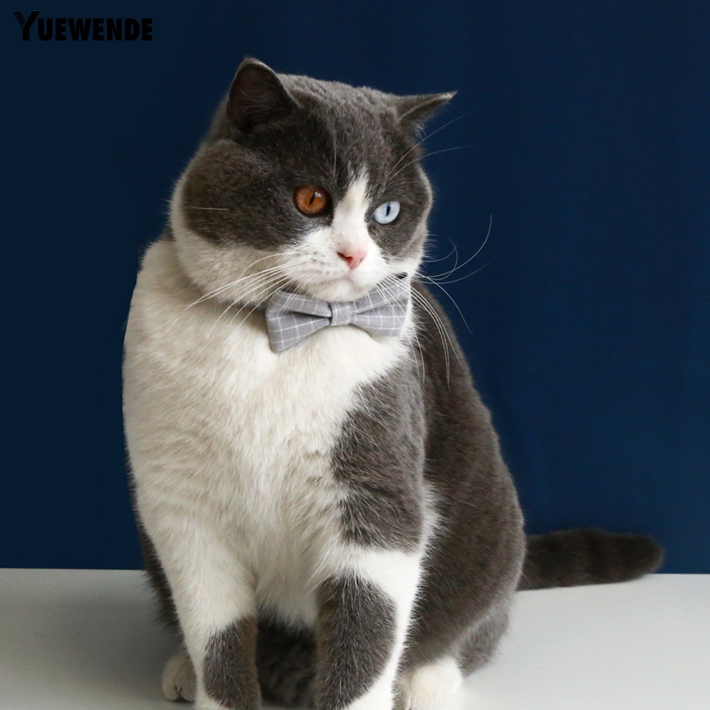 Phụ Kiện Vòng Cổ Họa Tiết Kẻ Sọc Thanh Lịch Dành Cho Thú Cưng