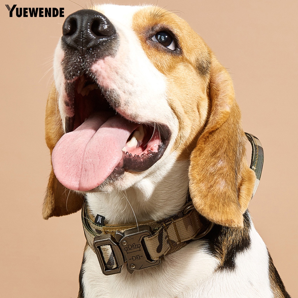 Vòng Cổ Nylon Thoáng Khí An Toàn Cho Thú Cưng YQ.E