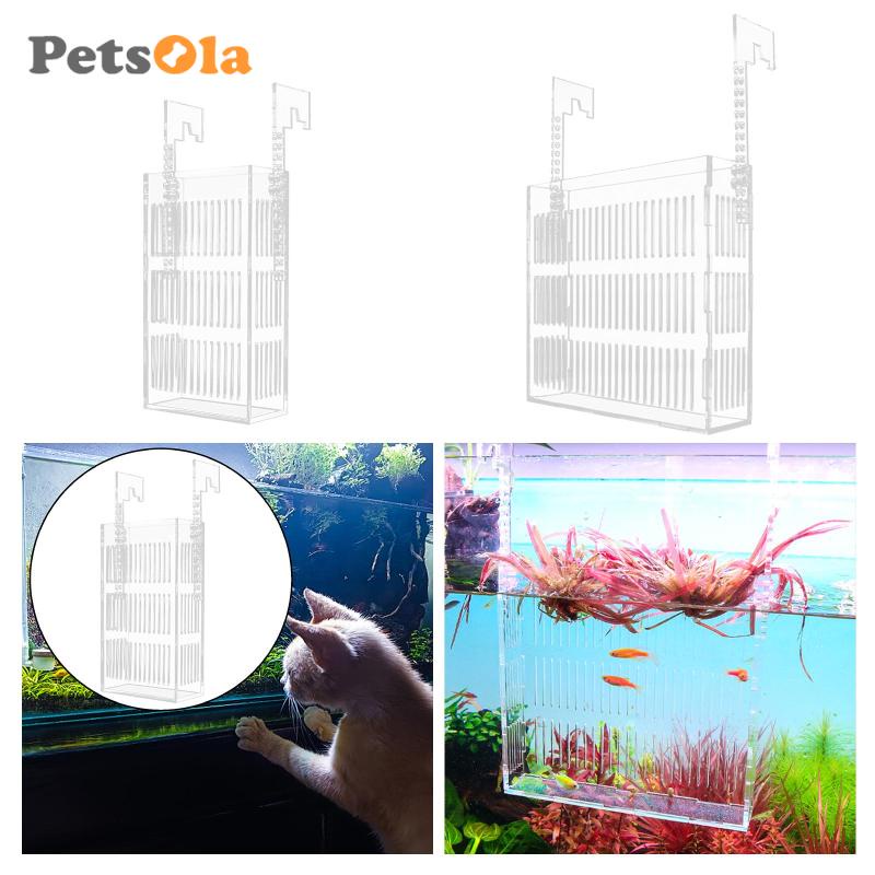 Hộp Acrylic Nhỏ Trong Suốt Đựng Cá Hề Guppy [Koolsoo21] Cho Bé