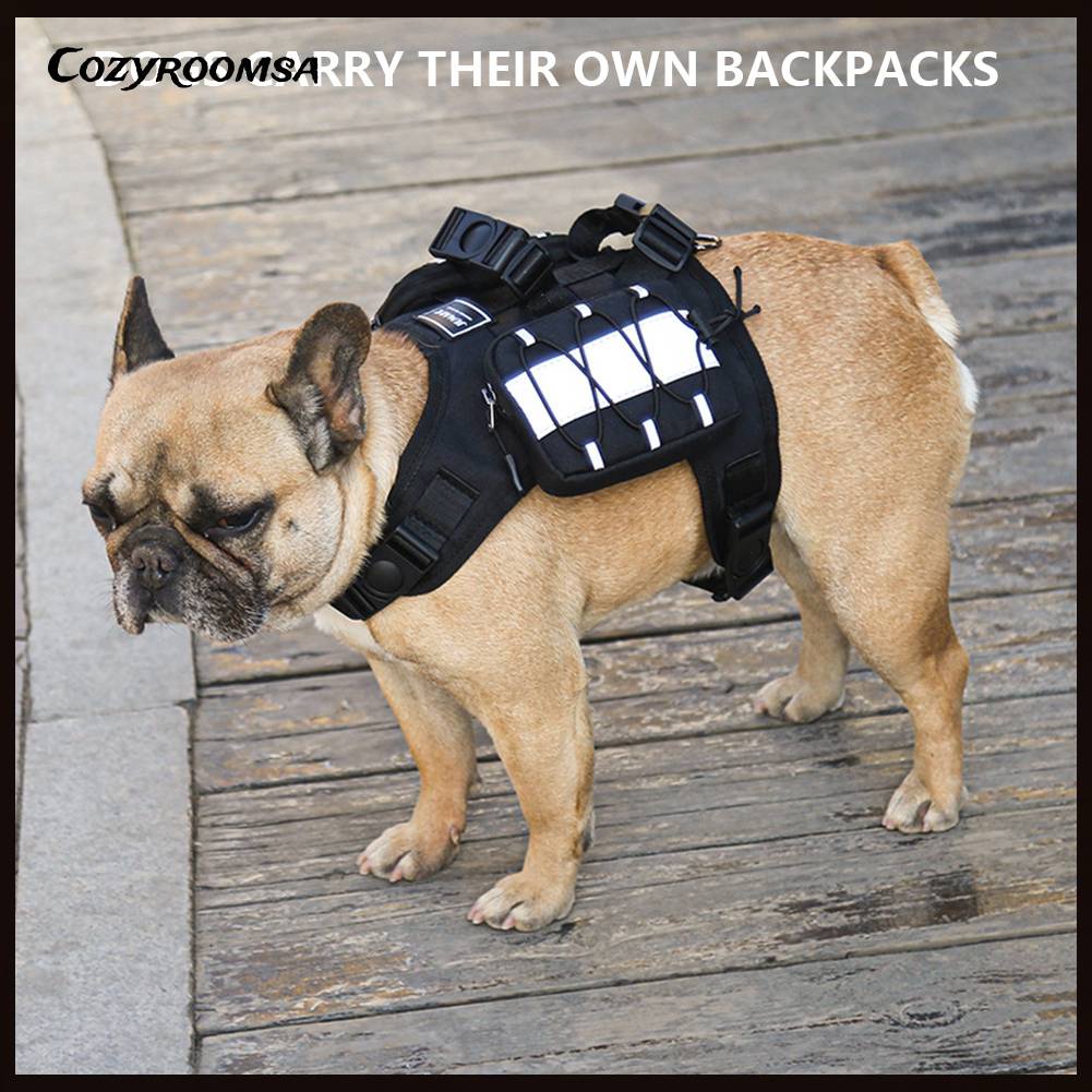 Ba Lô Đựng Thú Cưng Đi Bộ / Leo Núi Kèm Dây Đeo Tùy Chỉnh Tiện Dụng Cho