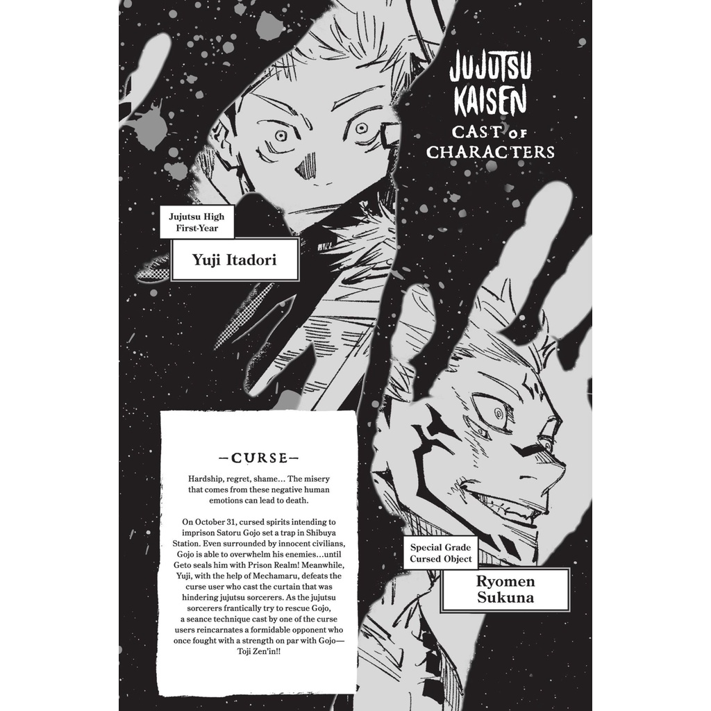 Jujutsu Kaisen 12